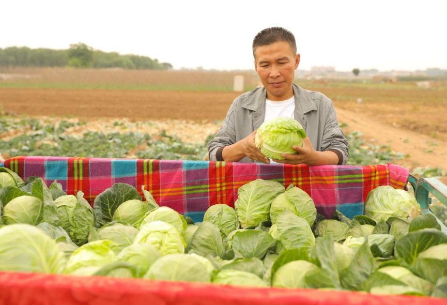 Chinese mainland to stop tariff exemption on certain Taiwan farm produce