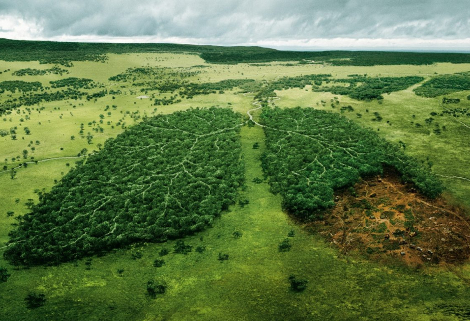 September 21 marking Zero Emissions Day – a day to allow the planet to breathe