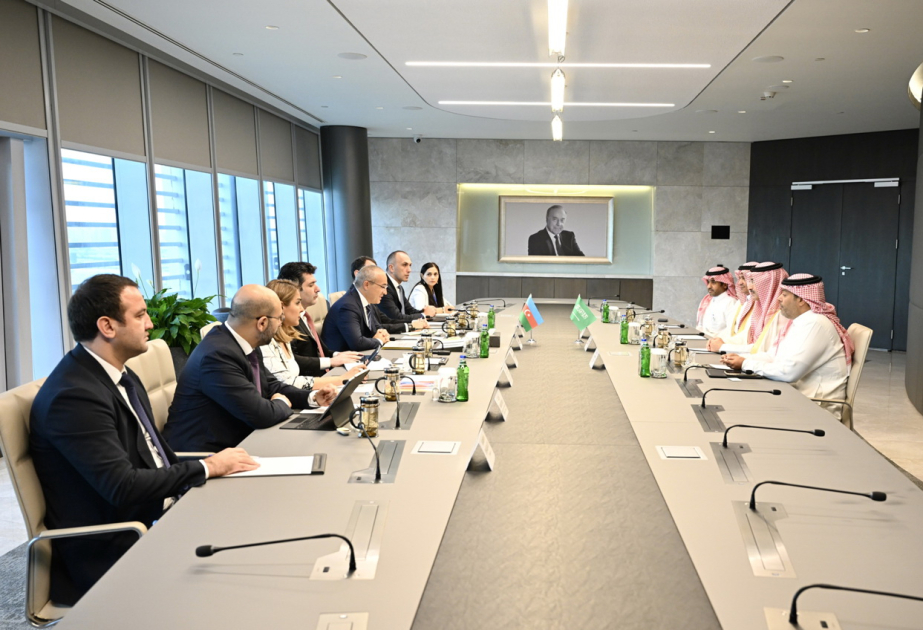 بحث مسائل التعاون الجديدة في مجال الاستثمار مع الصندوق السعودي للتنمية
