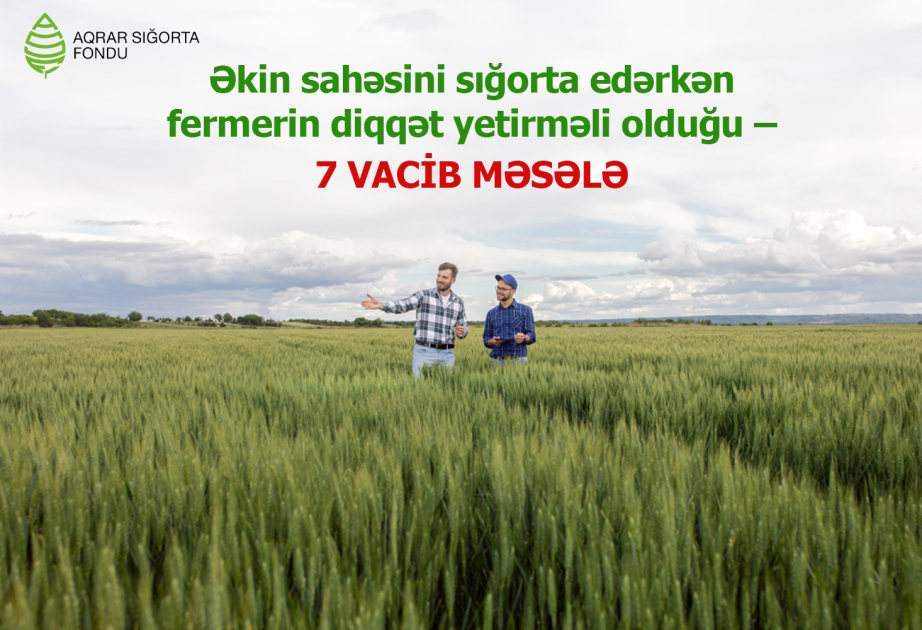 Əkin sahəsini sığorta edərkən diqqət yetirilməli vacib məqamlar hansılardır? - açıqlama