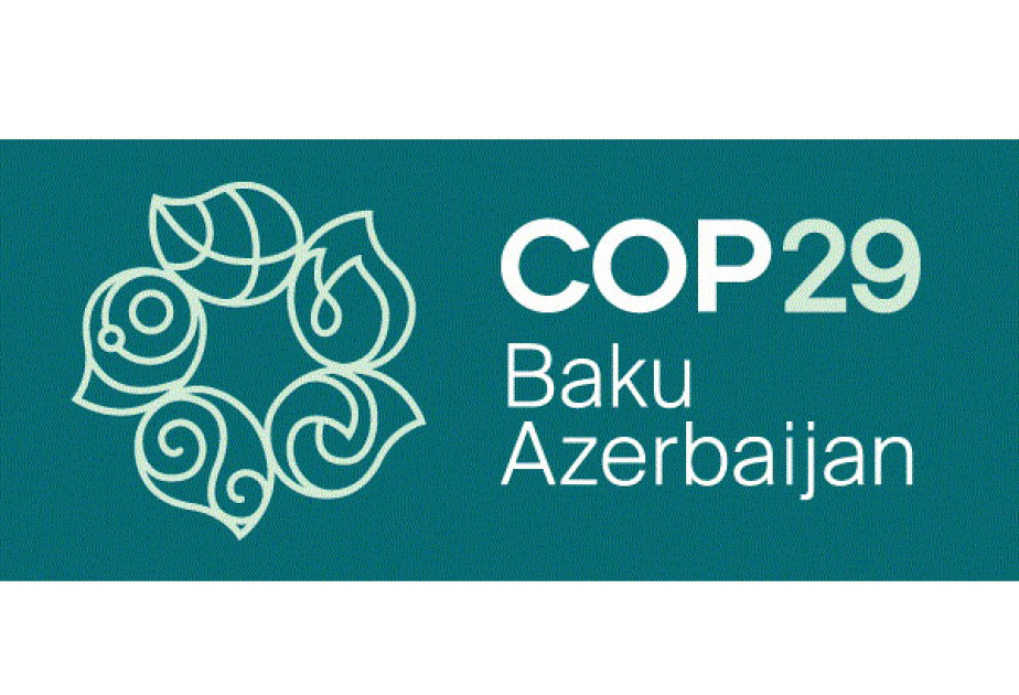 COP29 könüllüləri Xəzər dənizinin Lənkəran sahilində təmizlik aksiyasında iştirak ediblər VİDEO