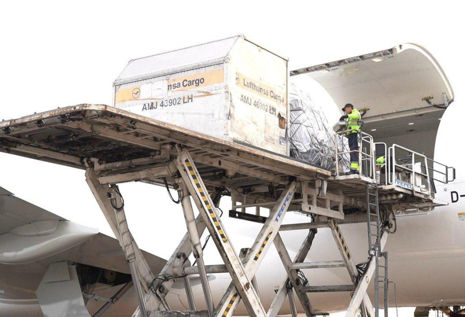 Amur tigers arrive in Kazakhstan from the Netherlands