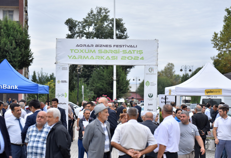 Masallı və Neftçalada növbəti toxum sərgi-satış yarmarkaları keçirilib