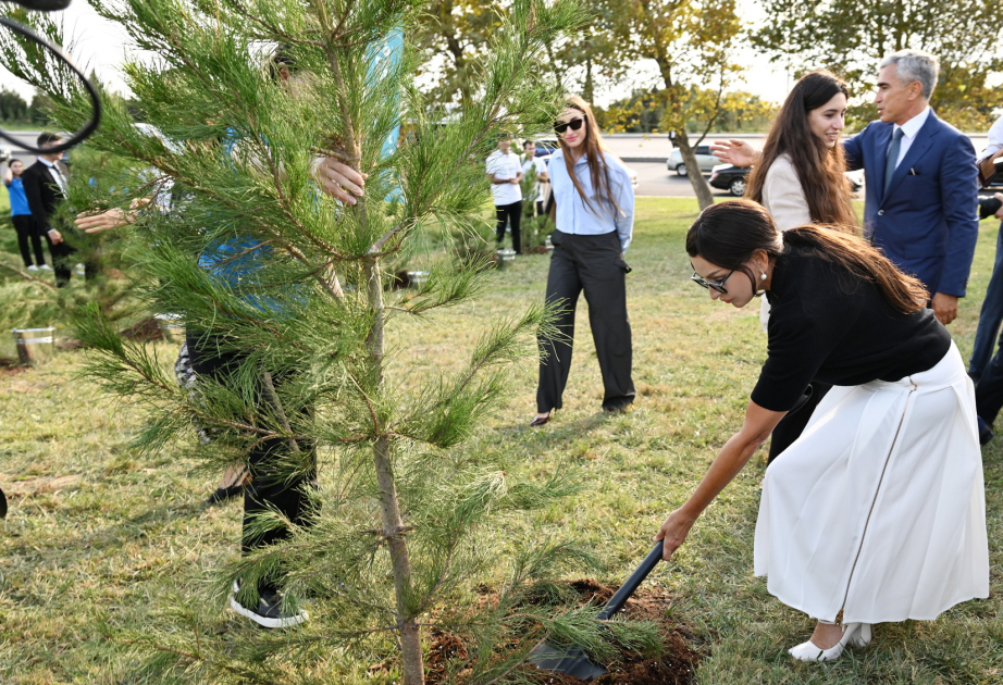 Tree-planting campaign held in “Ganjlik” park in Baku VIDEO