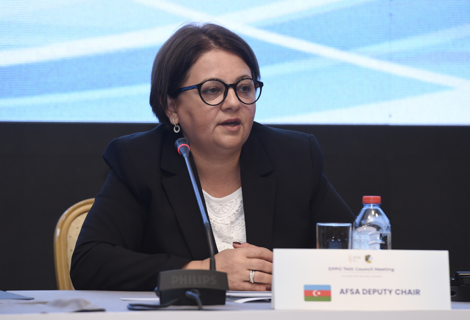 Zəkiyyə Mustafayeva: Sevindirici haldır ki, işğaldan azad olunmuş torpaqlarda fitosanitar tədbirlər həyata keçirilir