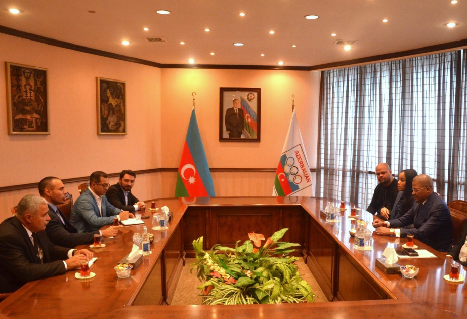 Se discuten las posibilidades de cooperación mutua en el ámbito del deporte entre Azerbaiyán y Congo