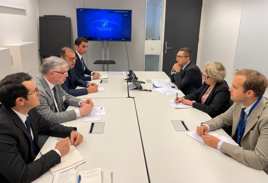 NATO Deputy Assistant Secretary General for Operations informed about landmine threat in Azerbaijan
