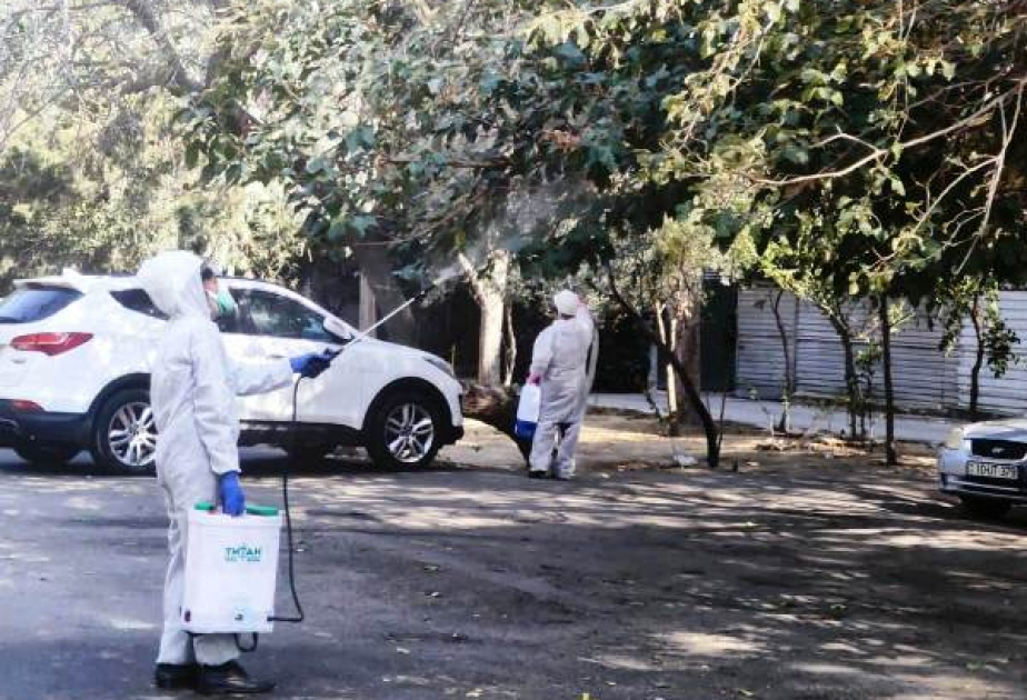 Paytaxtda ziyanverici həşəratlara qarşı tədbirlər görülür