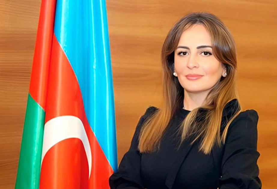 Azərbaycan suverenliyi ilə ziddiyyət təşkil edən cəhdləri neytrallaşdırmağı bacardı  ŞƏRH