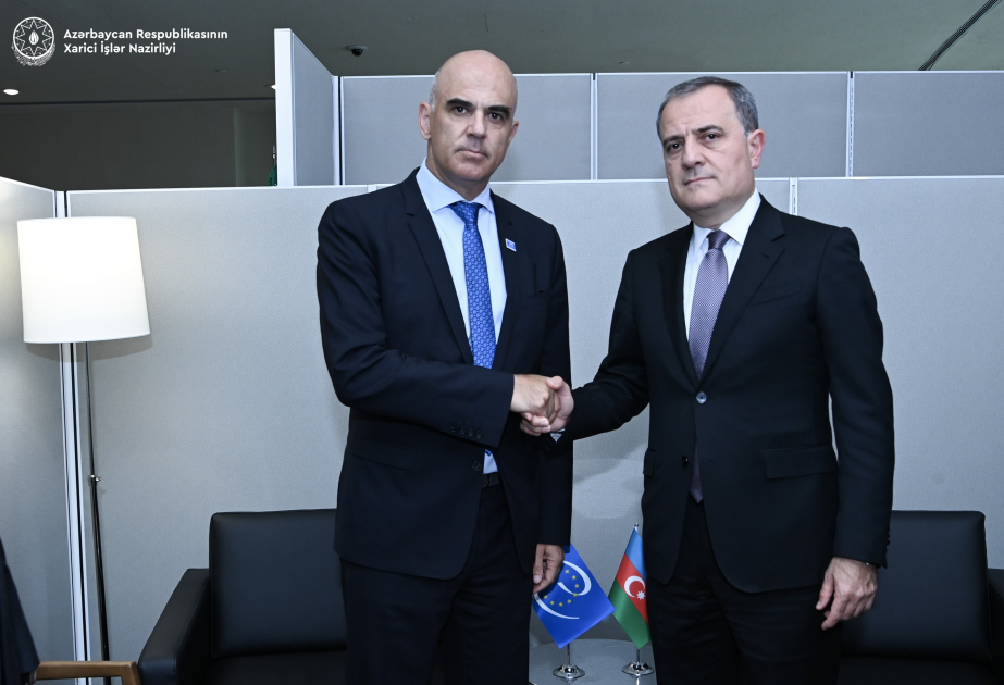 Se debaten los temas de la agenda actual entre Azerbaiyán y el Consejo de Europa