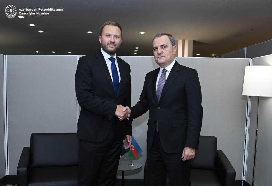 Azerbaijani FM informs his Estonian counterpart of measures regarding COP29