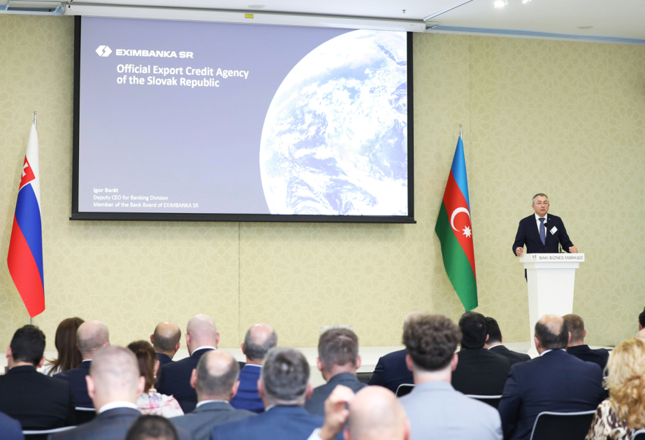 Azərbaycan və Slovakiya qarşılıqlı sərmayə yatırılmasında əməkdaşlığı davam etdirəcək