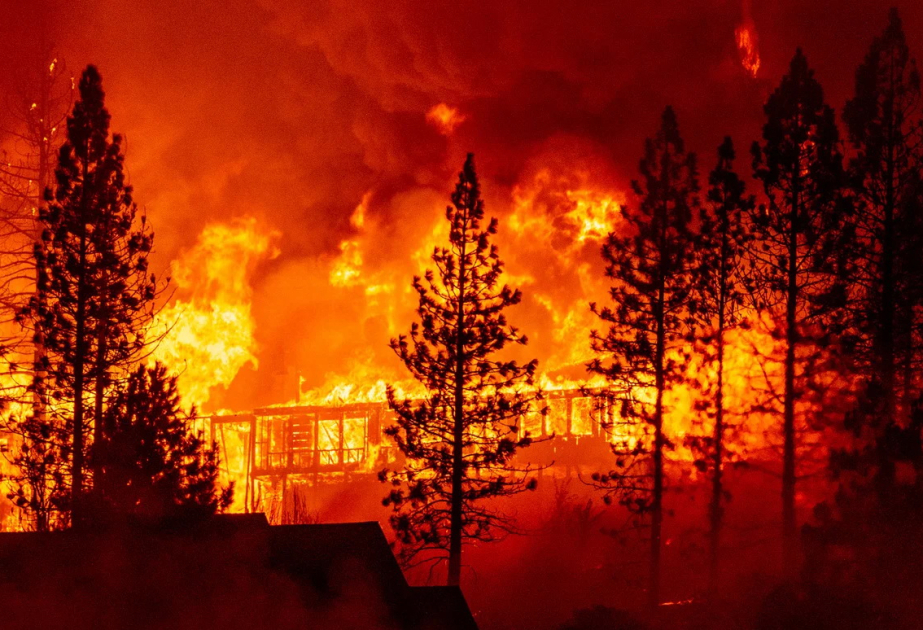Extreme fires amplify post-fire land surface warming: study