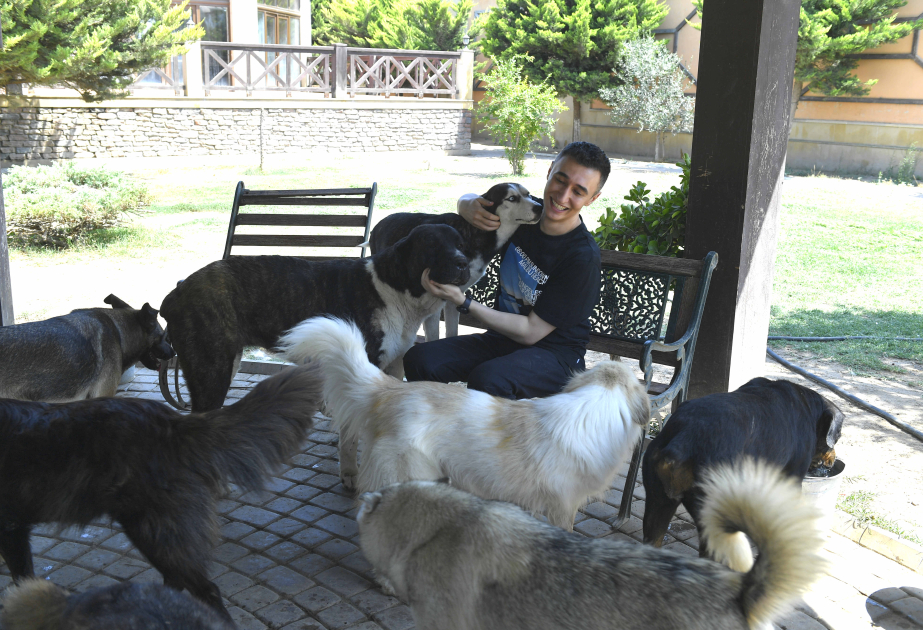 Фарид Мансуров: Есть необходимость в полноценном законе о защите животных