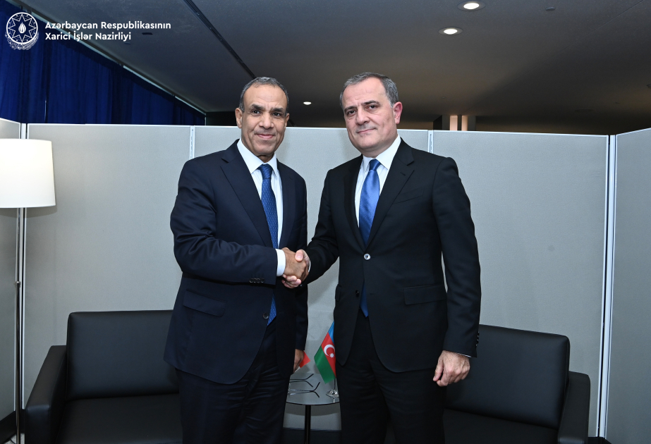 Jeyhun Bayramov informs Egyptian counterpart about progress of normalization process between Azerbaijan and Armenia