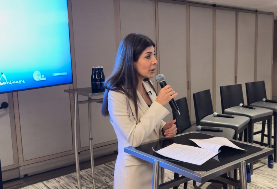 Nyu-Yorkda COP29-un BICFIT təşəbbüsünə dair müzakirələr baş tutub