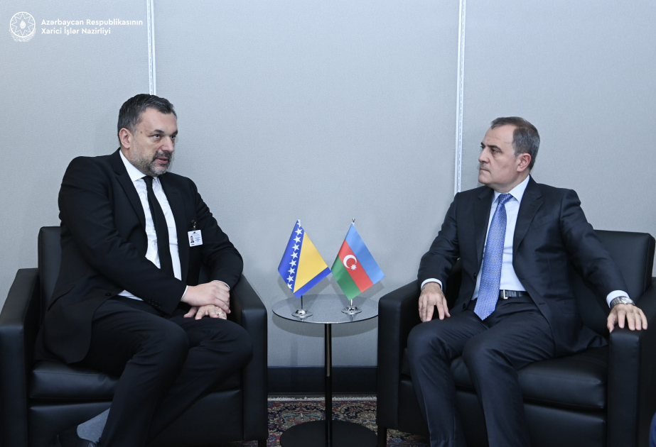 Azerbaijan, Bosnia and Herzegovina discuss strategic partnership