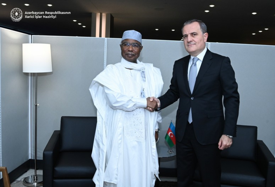 Azerbaijan's Foreign Minister meets with OIC Secretary General