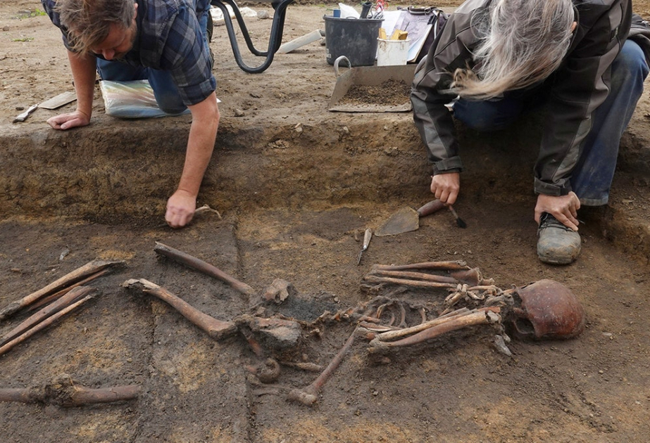50 Danish viking skeletons unearthed in a state of ‘Exceptional Preservation’