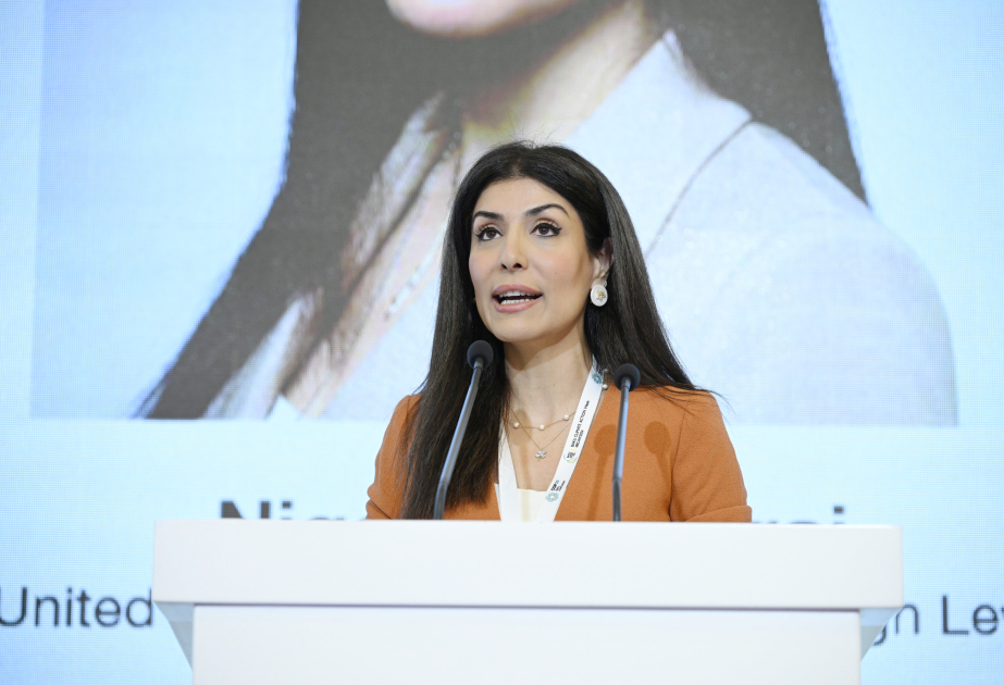 Nigar Arpadarai: İqlim məsələlərinin öhdəsindən təkbaşına gələ bilmərik