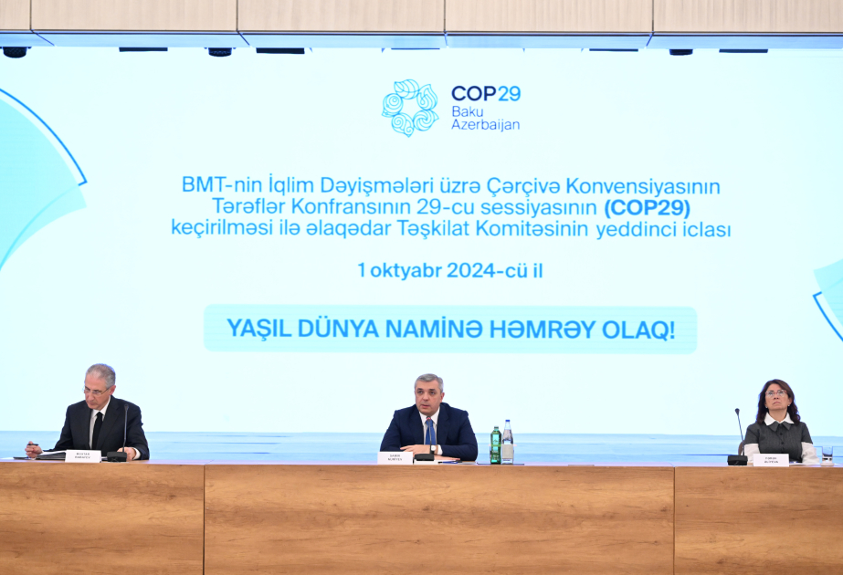 Состоялось седьмое заседание Организационного комитета в связи с СОР29