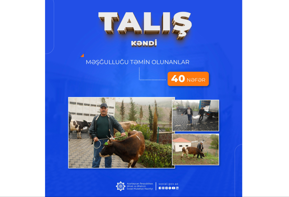 Talış kəndinə köçürülən sakinlərdən 40 nəfərin məşğulluğu təmin olunub