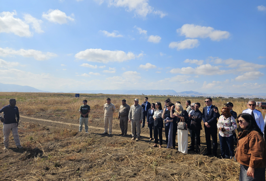 Beynəlxalq Forumun iştirakçıları Ağdamda minaların zərərsizləşdirilməsi prosesini izləyiblər  FOTO