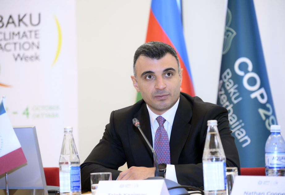 AMB sədri: Bu ilin sonuna kimi yaşıl istiqrazla bağlı qanunvericiliyin qüvvəyə minəcəyinə ümid edirik