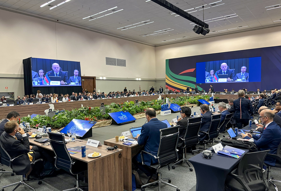 Azerbaijan`s Energy Minister highlights COP29 initiatives at G20 Energy Transitions Ministerial Meeting