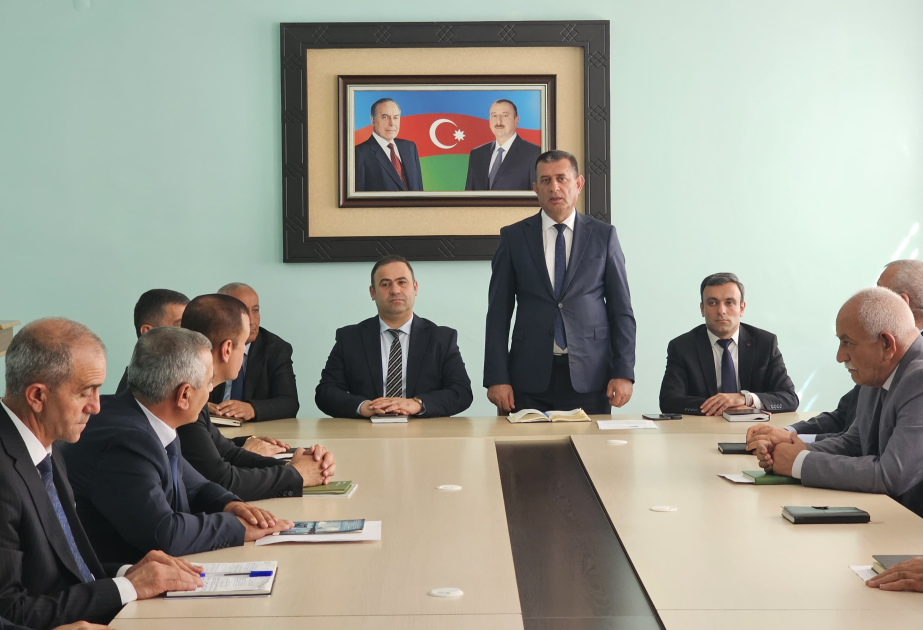 Naxçıvan Dövlət Energetika Xidmətində COP29-a həsr olunan infosessiya keçirilib