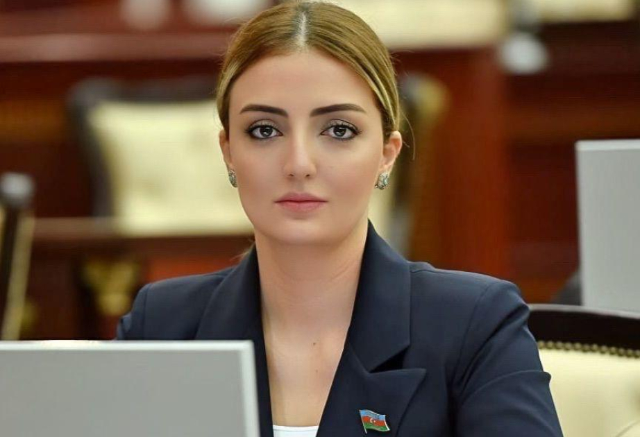 Könül Nurullayeva: ABŞ yenə də işğal və etnik təmizləməni təşviq edir