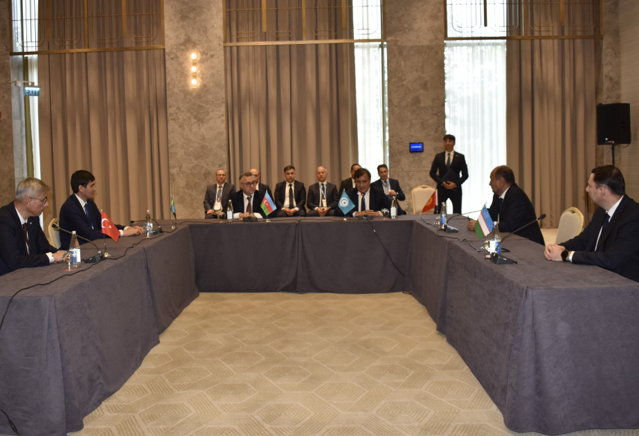 Joint Declaration of Fourth meeting of OTS health ministers adopted in Shusha
