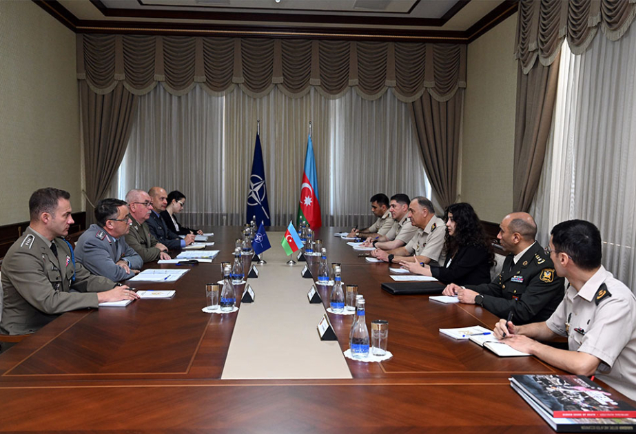 Chief of General Staff of Azerbaijan Army meets with NATO delegation VIDEO