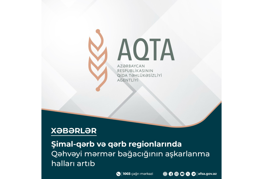 Bölgələrdə kütləvi şəkildə qəhvəyi mərmər bağacığı aşkarlanıb