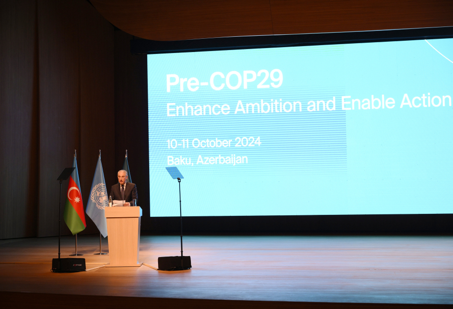 Pre-COP29 event kicks off in Baku