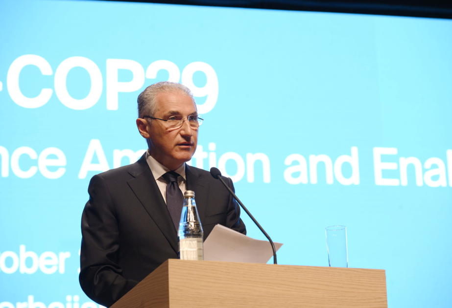 Presidente de la COP29:"Queremos finalizar los trabajos sobre el artículo 6 del Acuerdo de París"