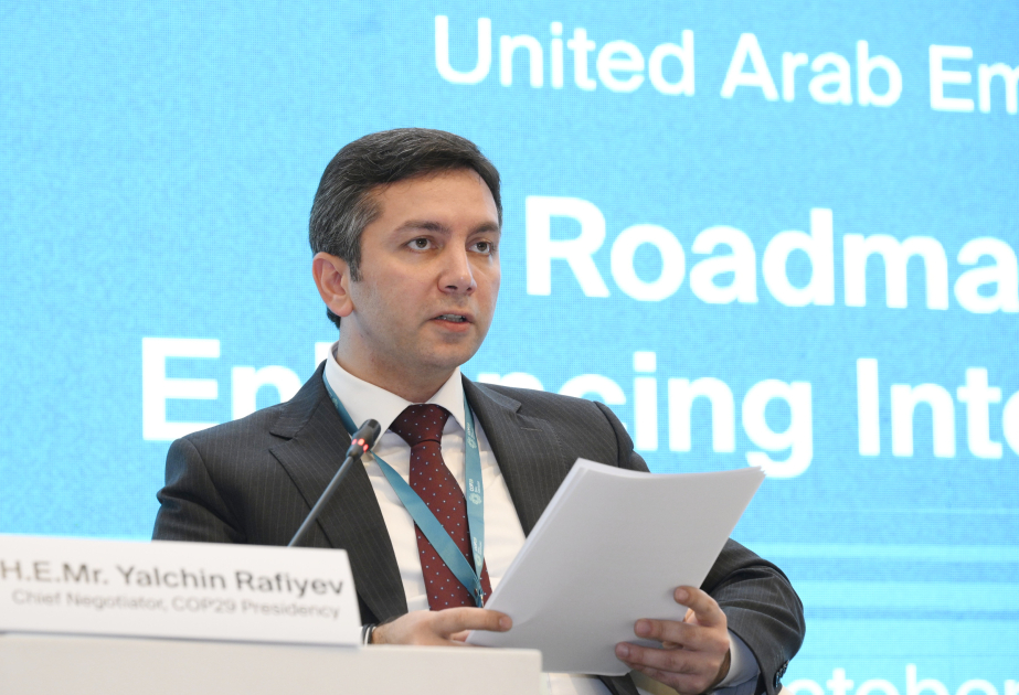 Ялчин Рафиев: COP29 дает возможность найти практические решения проблемы изменения климата