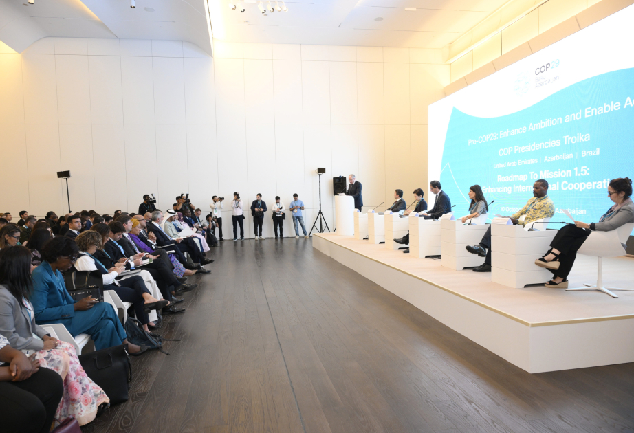 В рамках Pre-COP29 обсуждена «Дорожная карта миссии по ограничению роста температуры на уровне 1,5 градуса Цельсия»
