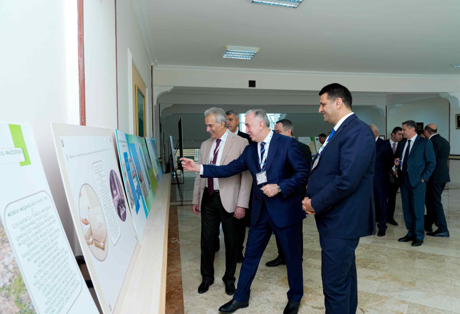Naxçıvan Dövlət Universitetində ixracyönlü sənayenin inkişaf yolları müzakirə olunub