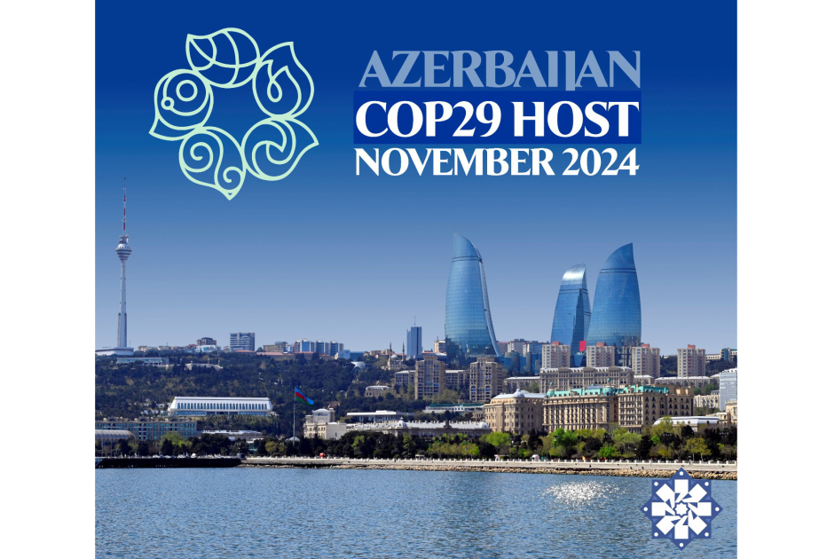 COP29