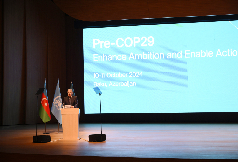 Pre-COP29 event kicks off in Baku