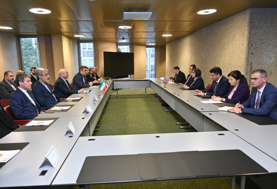 We attach special importance to cooperation with Azerbaijan, says Chairman of Iranian Islamic Consultative Assembly