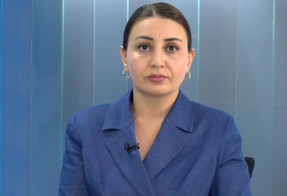 Prezident İlham Əliyev mükəmməl diplomatiyasının icrası ilə Cənubi Qafqazda sabitliyi qoruyub saxlayır -  ŞƏRH