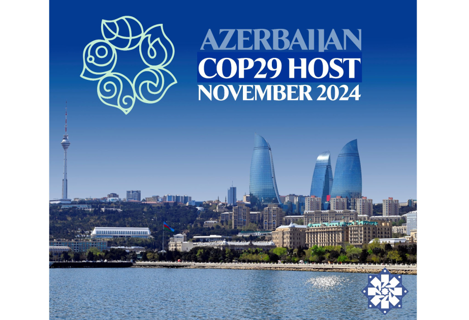 Azərbaycanın yaşıl enerjiyə keçidlə bağlı məqsədlərinə çatmasında COP29-un rolu  ŞƏRH