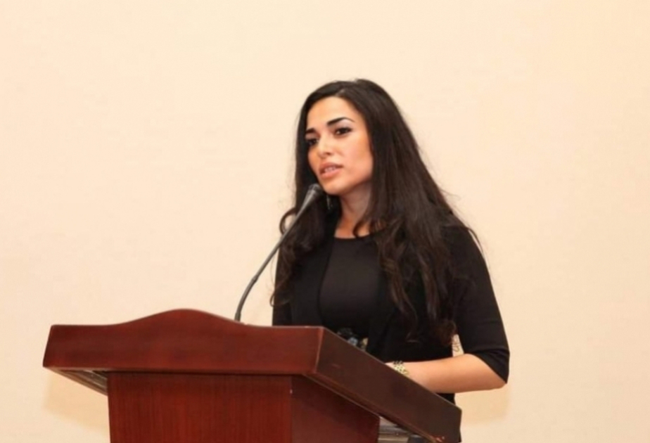 Gürcüstanda ictimai rəyi çaşdıra biləcək məqamların arxasında dayanan maraqlar - RƏY