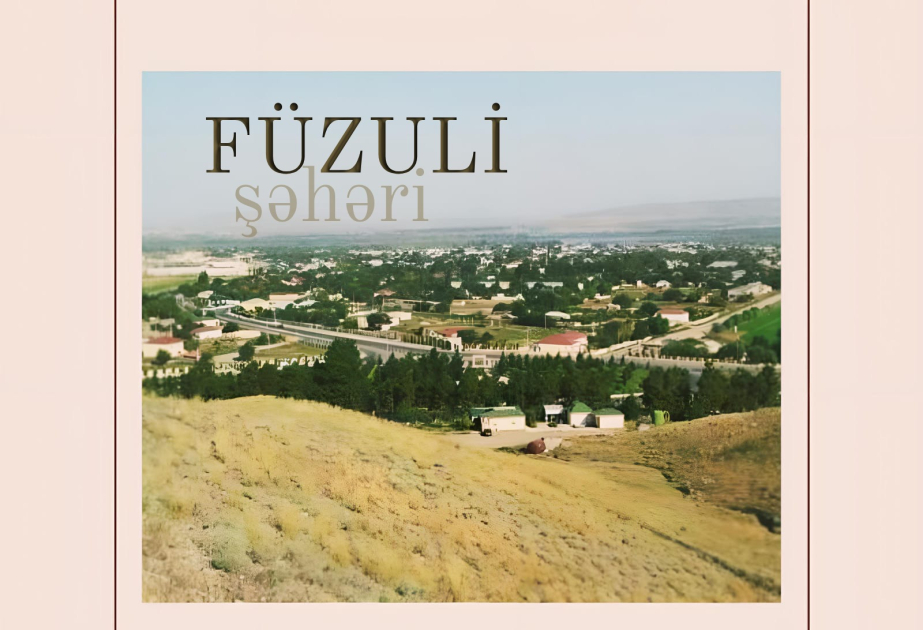 Polkovnik-leytenant: Məngələnatanın nəzarətə götürülməsi Füzulinin azad edilməsində həlledici rol oynadı -  ŞƏRH