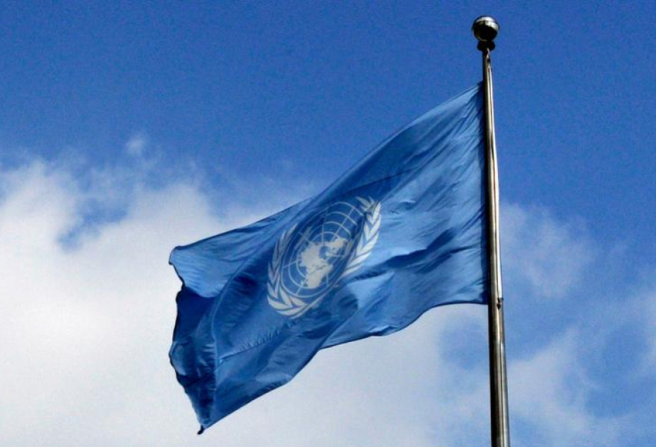 ONU : Deux milliards de femmes n'ont pas accès à la protection sociale