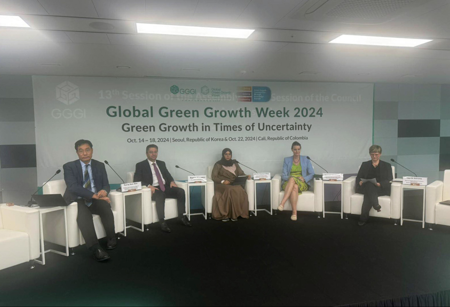 Cənubi Koreyada “COP29-a aparan yol - Azərbaycanda, Bakıda gündəlikdə nə var?” adlı panel müzakirələr təşkil olunub
