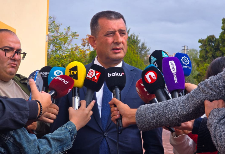 Naxçıvanda elektrik enerjisinin 55 faizi yaşıl enerjinin hesabına təmin olunur