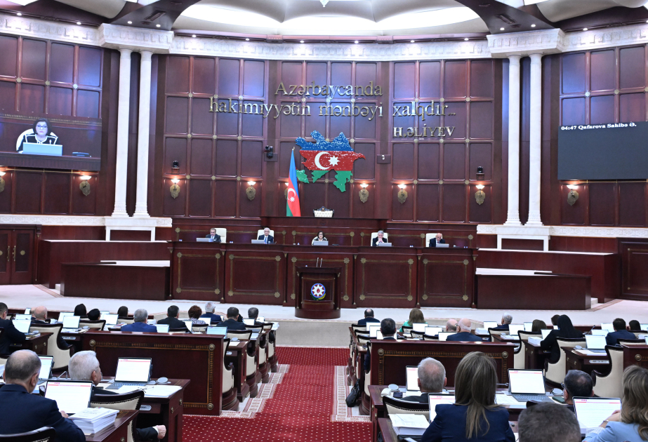 Sahibə Qafarova: Azərbaycan Cənubi Qafqazın lider dövlətinə və söz sahibinə çevrilib